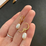 20Pcs Brass Plated Lever Back Earring Hooks DIY Jewelry Making