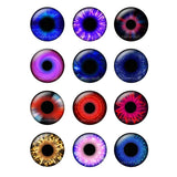 12 Pairs 14mm Thin Glass Eyes Chips for DIY Toy Doll Eye Crafts