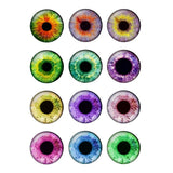12 Pairs 14mm Thin Glass Cabochons Doll Eyes Chips for DIY Crafts BH172