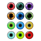 12 Pairs 14mm Thin Glass Cabochons Doll Eyes Chips for DIY Crafts BH172