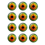 12 Pairs 14mm Thin Glass Cabochons Doll Eyes Chips for DIY Crafts BH172