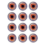 12 Pairs 14mm Thin Glass Cabochons Doll Eyes Chips for DIY Crafts BH172