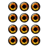 24 Pcs Colorful 14mm Glass Eye Chips for Blyth-doll BH100