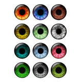 12 Pairs Blythe Doll Pupil Eyes Chips 14mm Thin Glass Eye for Jewelry Making