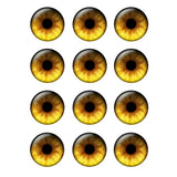 12 Pairs Blythe Doll Pupil Eyes Chips 14mm Thin Glass Eye for Jewelry Making