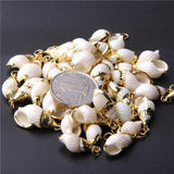 Natural Spiral Seashells for DIY Pendant Jewelry Home Decor 4pcs