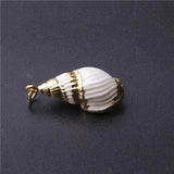 Natural Spiral Seashells for DIY Pendant Jewelry Home Decor 4pcs