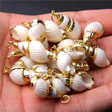 Natural Spiral Seashells for DIY Pendant Jewelry Home Decor 4pcs