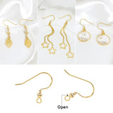 20Pcs Rhodium Plated Hypoallergenic Ear Hooks Clasps