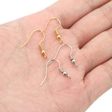 50pcs Stainless Steel Earrings Hooks Clasp Wire Hypoallergenic for DIY Jewelry