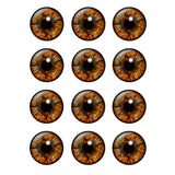 12 Pairs Glass Eye Chips 14mm Transparent for DIY Jewelry H208