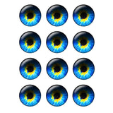 12 Pairs Glass Eye Chips 14mm Transparent for DIY Jewelry H208