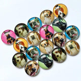 Mixed Dogs Pattern Glass Cabochons for Jewelry TP-395