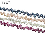 Mixed Colors 5-6mm Freshwater Pearl Beads 14.5 Inch Strand