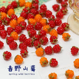 Raspberry Glass Beads DIY Earrings Jewelry Accessories