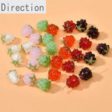 Glazed Strawberry Raspberry Straight Hole Beads DIY Jewelry Making