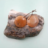Indonesian Coral Round Earrings For Women 25x4mm