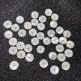 5Pcs Natural Shell Beads Flower-shaped Loose Shell For Jewelry Making