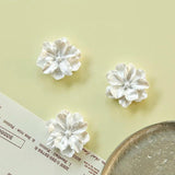 Pearlescent Camellia Banmaru DIY Hair Clip Resin Patch