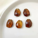 Fall/Winter Brushed Resin Earring Accessories