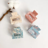 Hollow Acetate Hair Clip Small Back of Head Girl Grab Clip