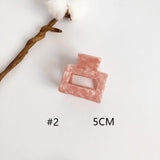 Hollow Acetate Hair Clip Small Back of Head Girl Grab Clip