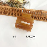 Acetic Acid Hair Clip Girl Temperament Small Back Head Shark Clip