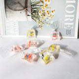 Transparent Resin Fish Water Bag Earrings Pendant DIY Jewelry Accessories