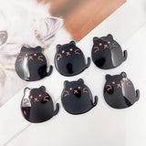 Resin Ackley Cat Brooch DIY Earrings Material Bag Pendant