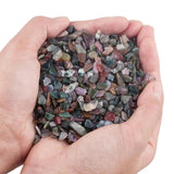 Natural Indian Agate Tumbled Chips Stone Crushed Quartz Pieces