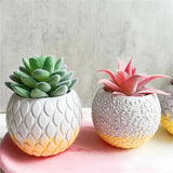 Fish Scale Round Planter Flowerpot Silicone Mold