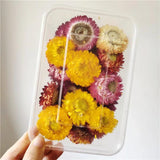 Chrysanthemum Dried Flower Fillings Material for Jewelry Making