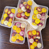 Chrysanthemum Dried Flower Fillings Material for Jewelry Making