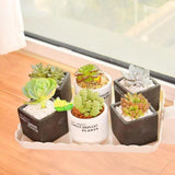 3-Hole Flowerpot Silicone Mold Geometric Resin Plant Pot Mould