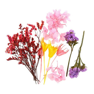 Dried Flowers Plants for Aromatherapy Candle DIY Filling