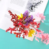 Dried Flowers Plants for Aromatherapy Candle DIY Filling