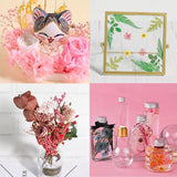 Dried Flowers Plants for Aromatherapy Candle DIY Filling