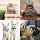 5Pcs Pets Hanging Tags Resin Mold Silicone Mould
