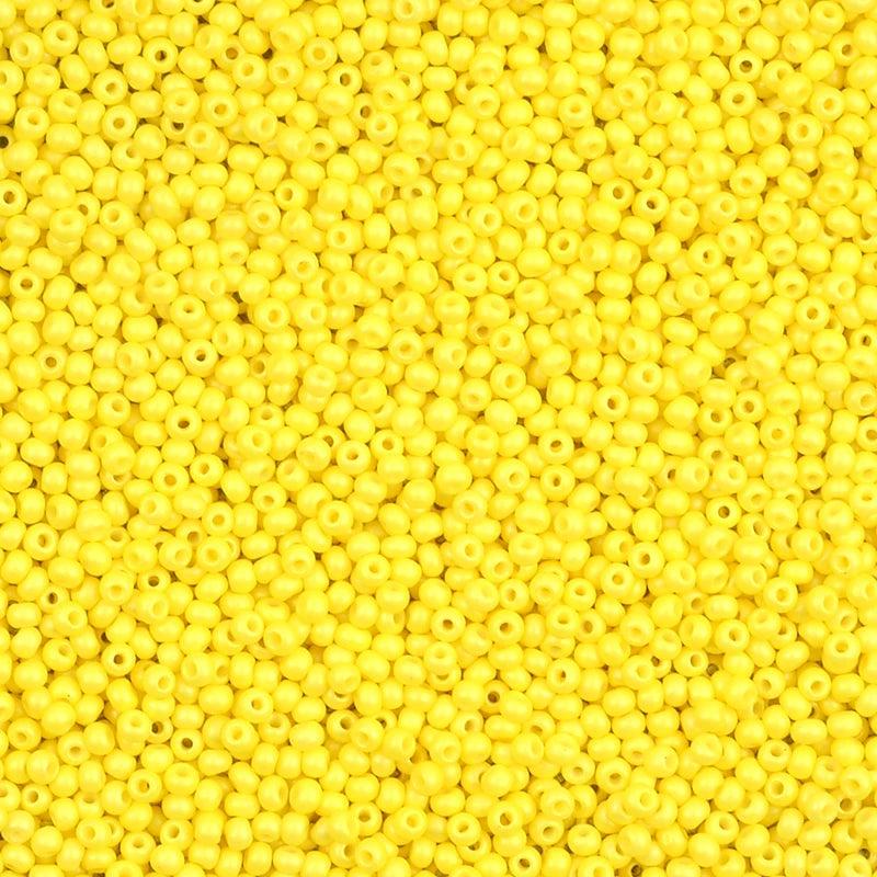 1000 Czech Glass Seed Beads 2mm Charm Round Spacer Beads