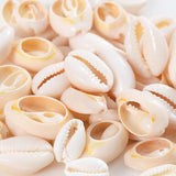 Natural Oval Shell Beads Without Holes Charm Cowrie Conch Loose Spacer Beads