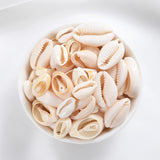 Natural Oval Shell Beads Without Holes Charm Cowrie Conch Loose Spacer Beads