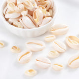 Natural Oval Shell Beads Without Holes Charm Cowrie Conch Loose Spacer Beads