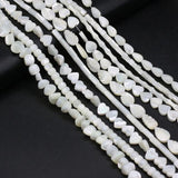Natural Freshwater Shell Beads Assorted Shapes Loose Beads