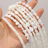 Natural Freshwater Shell Beads Assorted Shapes Loose Beads