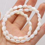 Natural Freshwater Shell Beads Assorted Shapes Loose Beads