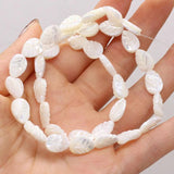Natural Freshwater Shell Beads Assorted Shapes Loose Beads