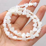 Natural Freshwater Shell Beads Assorted Shapes Loose Beads