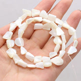 Natural Freshwater Shell Beads Assorted Shapes Loose Beads