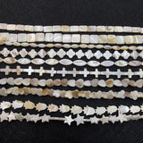 Natural Freshwater Shell Beads for Jewelry Making DIY Necklace
