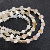 Natural Freshwater Shell Beads for Jewelry Making DIY Necklace